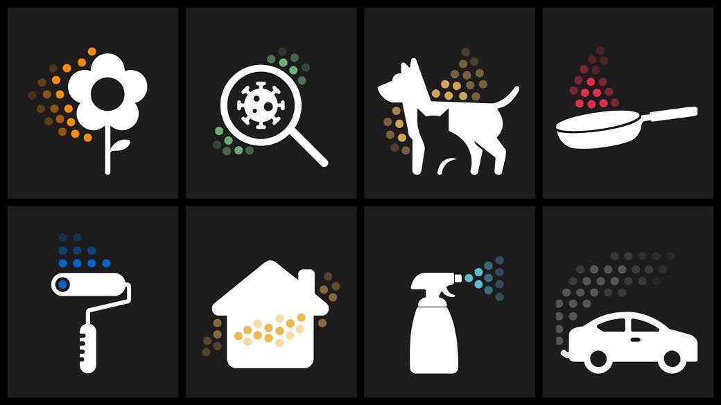 DYSON - AIR PURIFIER - HUSHJET COMPACT BLK/T